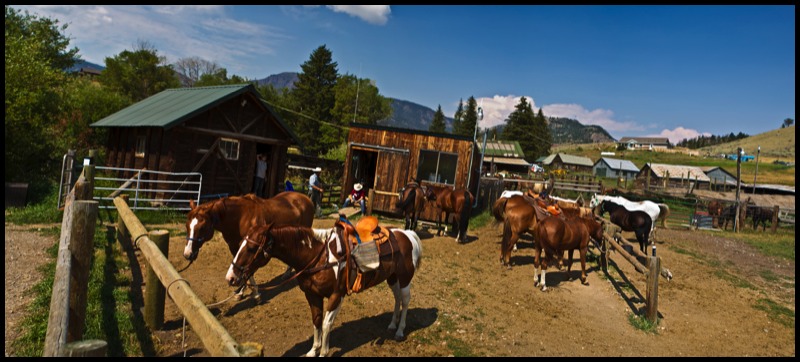 Montana Whitewater Rafting Raft and Zipline Company Bozeman Big Sky and Gardiner Montana Family Vaction Fun on Gallatin Yellowstone and Madison Rivers Zipline Fun