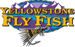Yellowstone Fly Fish